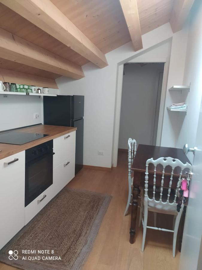 Agriturismo Corte Del Brenta Ориаго Ди Мира Екстериор снимка