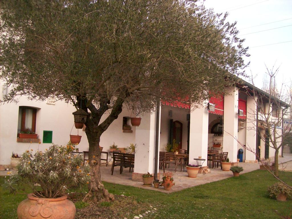 Agriturismo Corte Del Brenta Ориаго Ди Мира Екстериор снимка