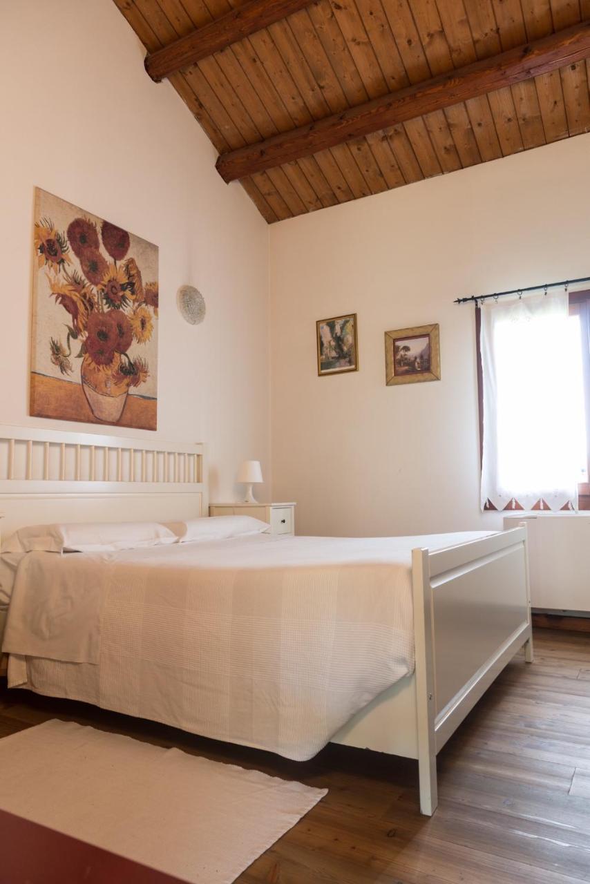 Agriturismo Corte Del Brenta Ориаго Ди Мира Екстериор снимка