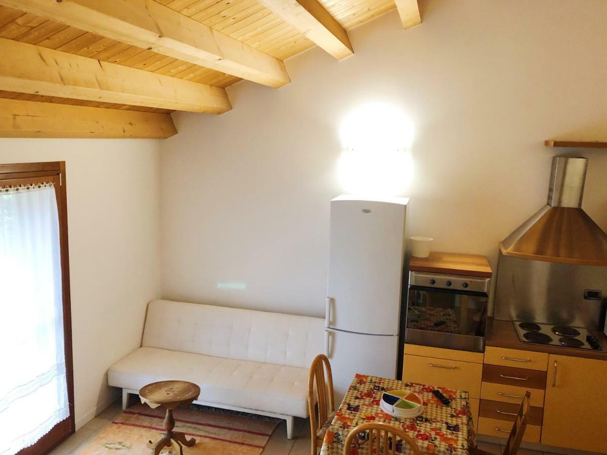 Agriturismo Corte Del Brenta Ориаго Ди Мира Екстериор снимка